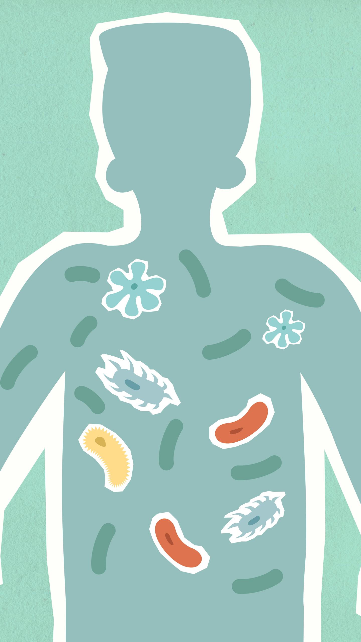 IBS & Gut Health Dietitian in Sudbury